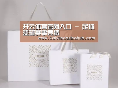 项目名称十一