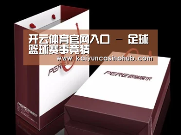项目名称十二